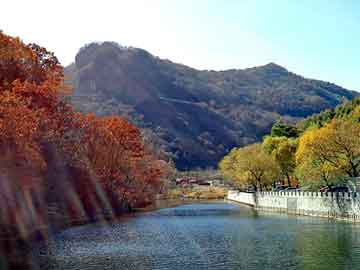 新澳天天开奖资料大全旅游团，石猴价格